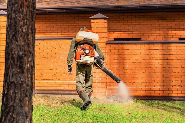 Bed Bug Clearance Verification and Documentation in Searcy
